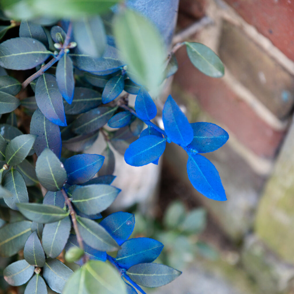 Vermageren dankzij het inzetten van hypnose brengt terug kleur in je leven